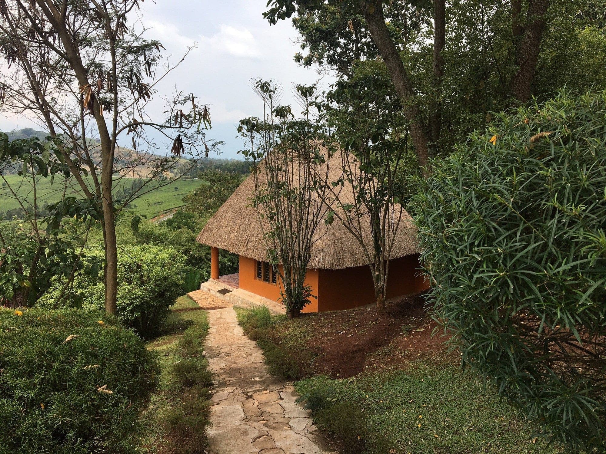 Chimpanzee Forest Lodge photo 3