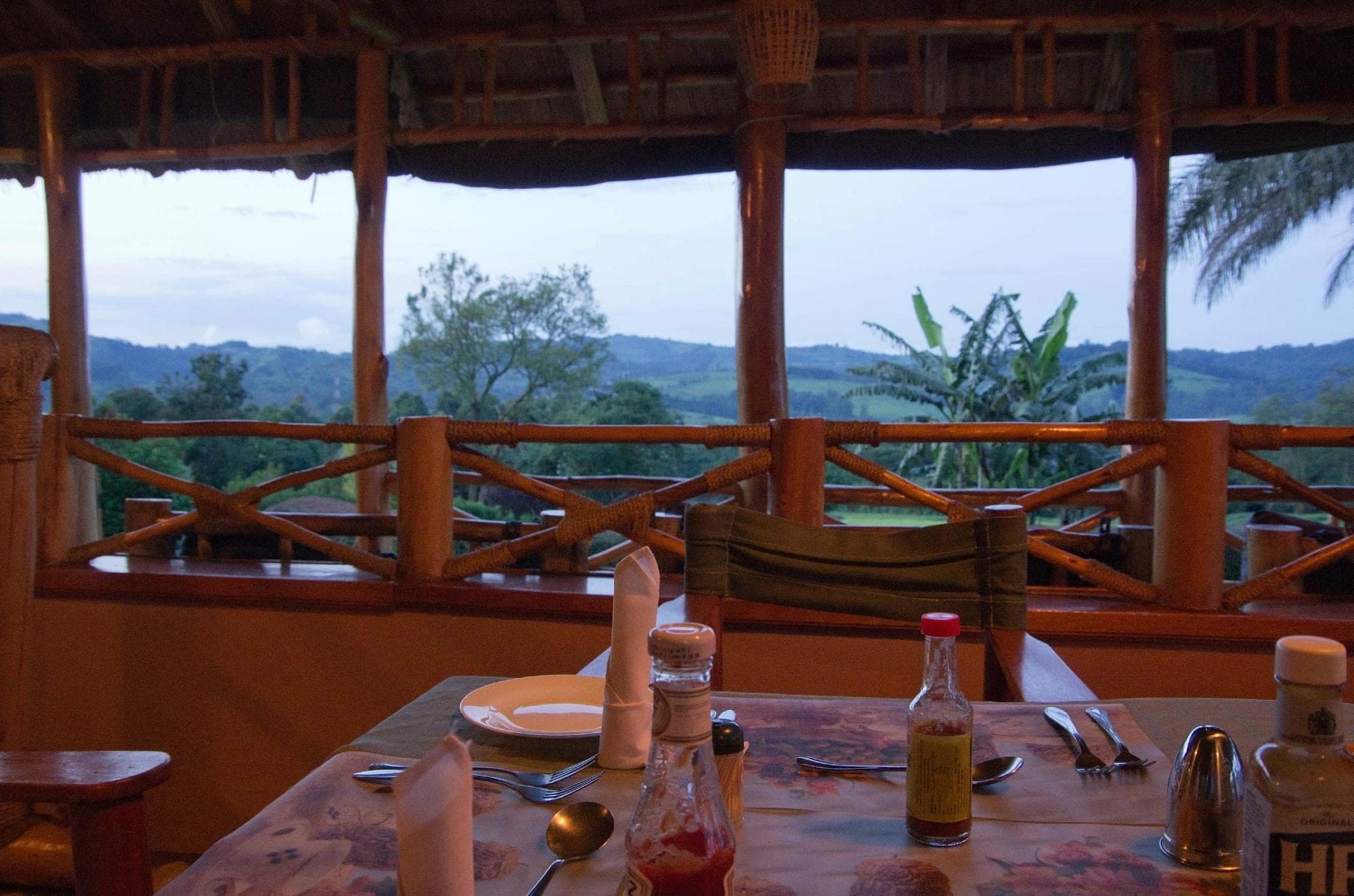 Chimpanzee Forest Lodge photo 1