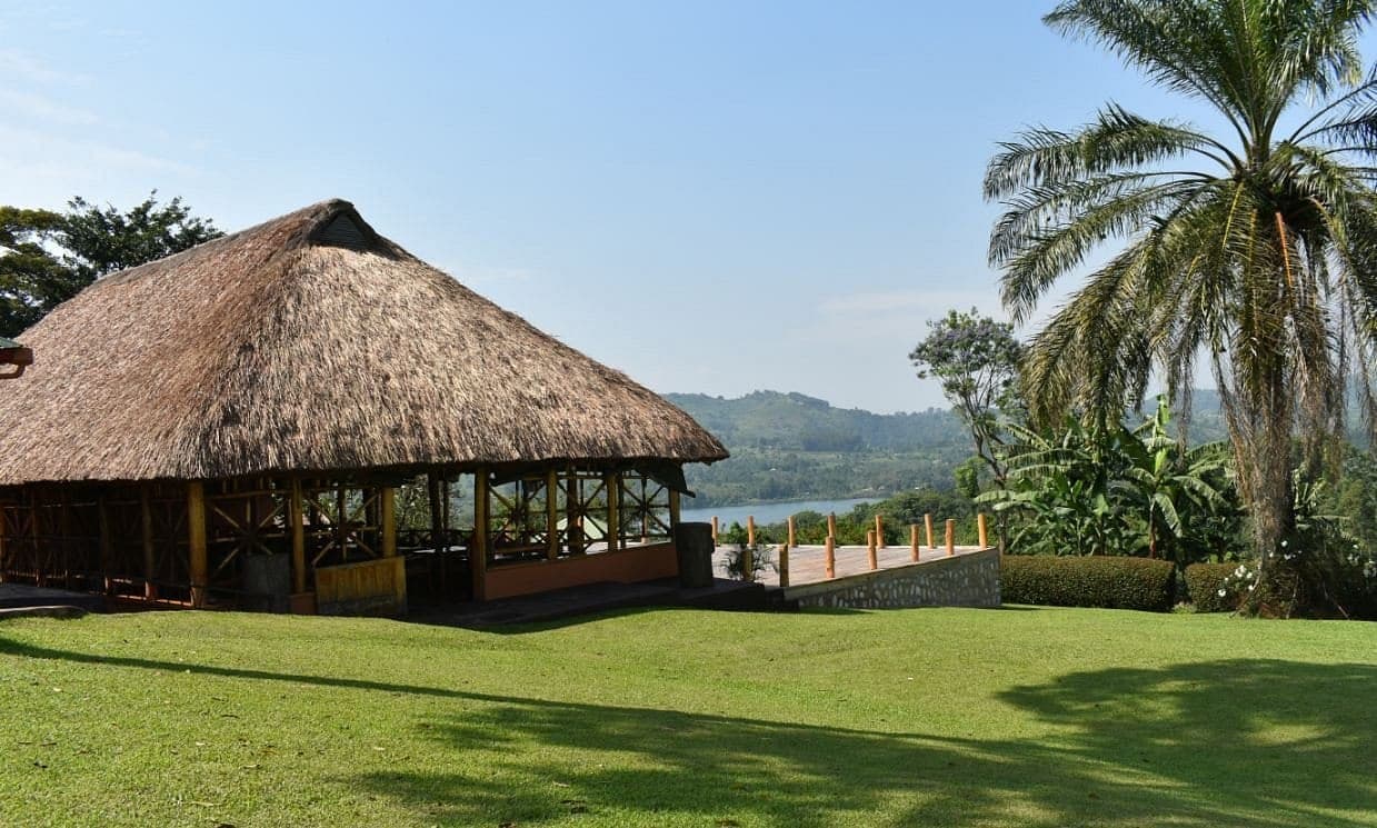 Chimpanzee Forest Lodge photo 2