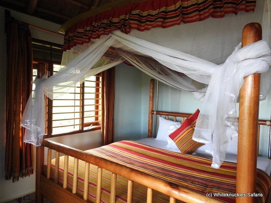 Chimpanzee Forest Lodge photo 4
