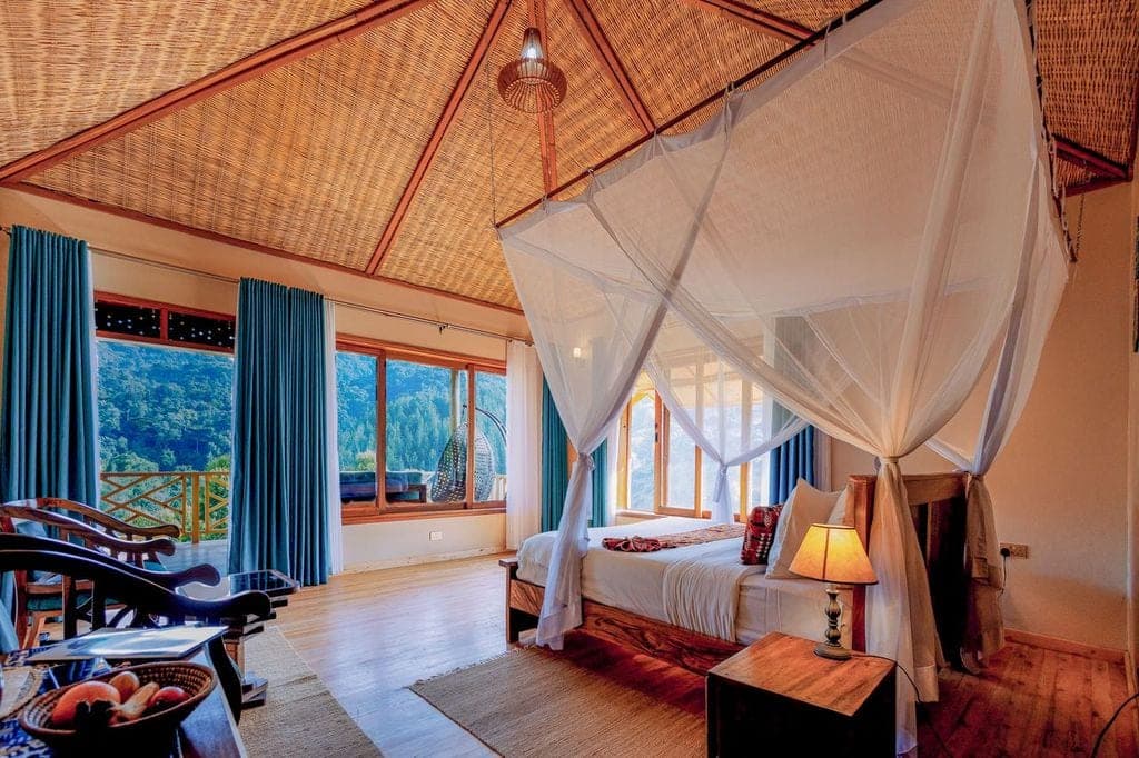 Gorilla Leisure Lodge photo 2