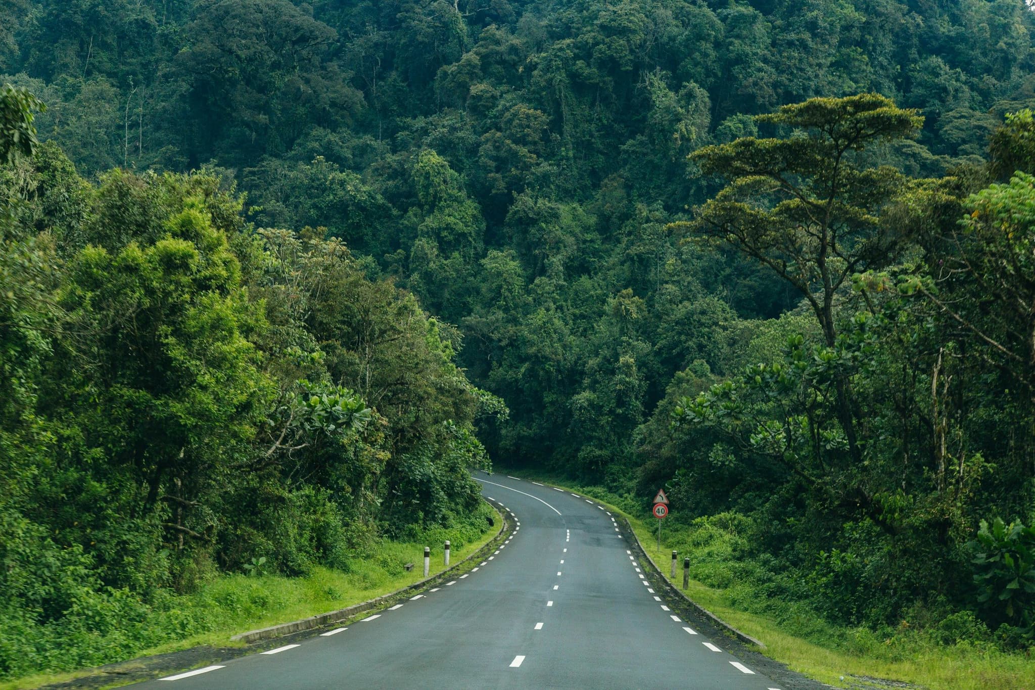 Nyungwe National Park, photo 2